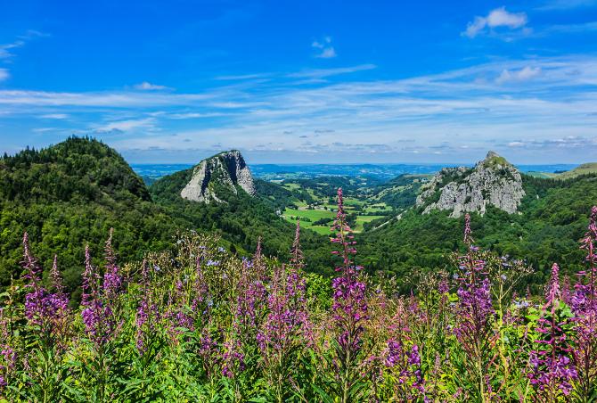 About Auvergne
