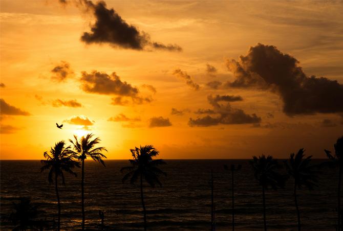 À propos de Alagoas