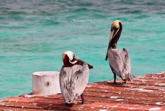 Sobre Puerto Morelos
