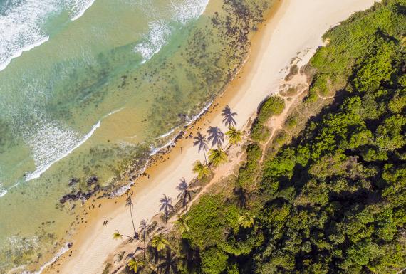 Pipa, Brazil