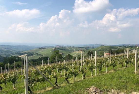 Piedmont, Italy