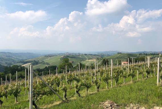 Piedmont, Itália