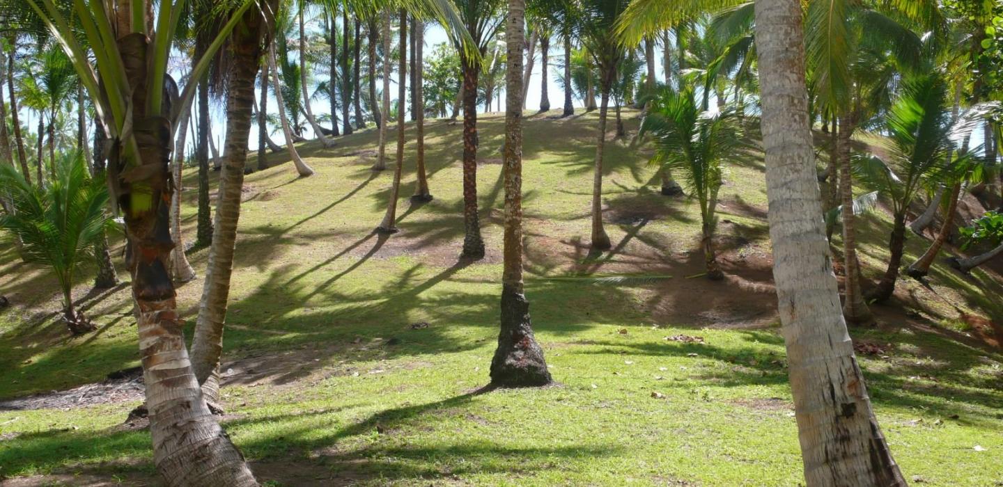 Bah700 - Beachfront land in Itacare