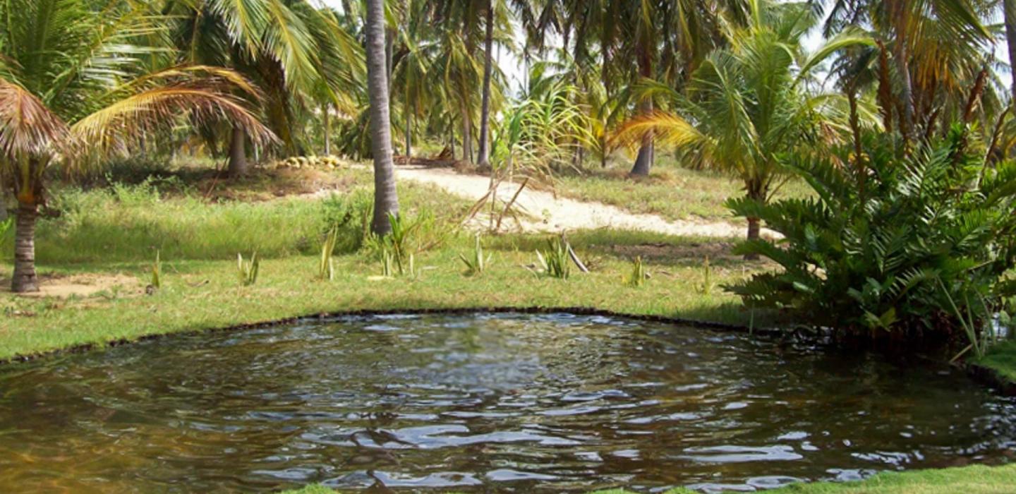 Cea026 - Casa en Guajiru con 4 suites