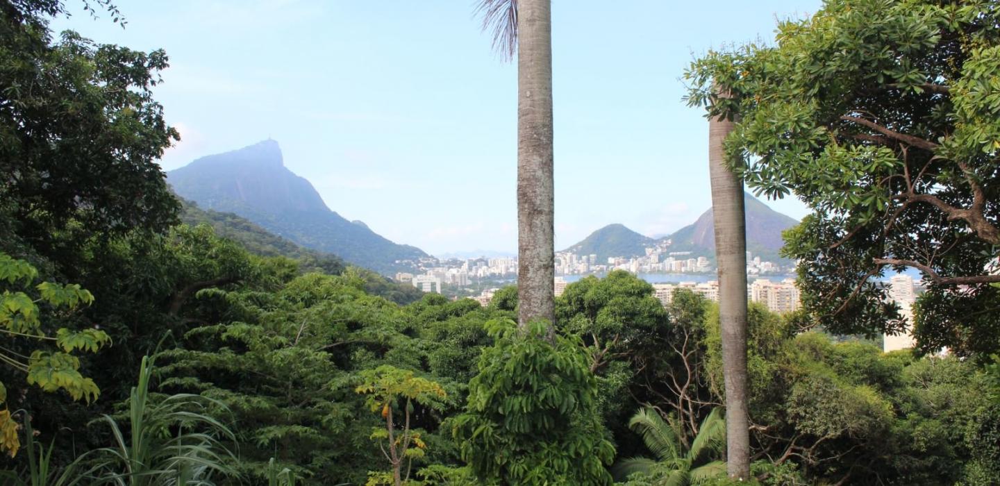 Rio388 - Villa in Gavea