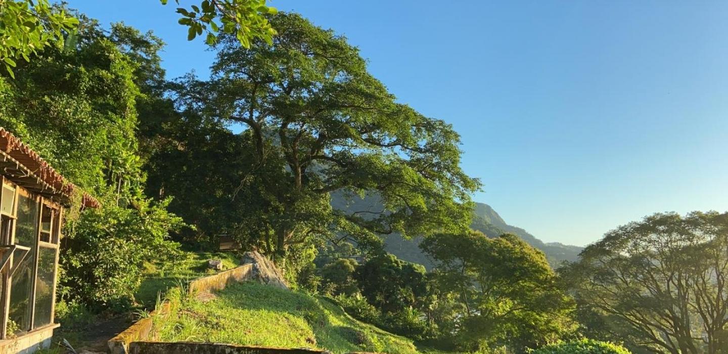 Rio401 - Land in São Conrado