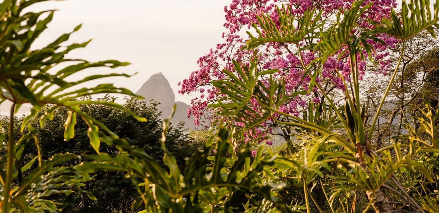 Rio180 - Villa de 7 chambres avec piscine à Santa Teresa