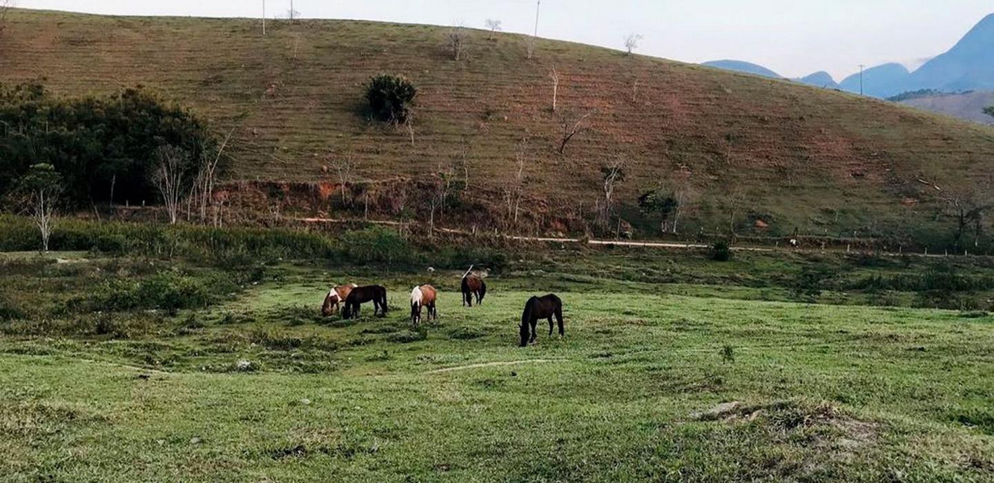 Ita002 - Fazenda em Secretário