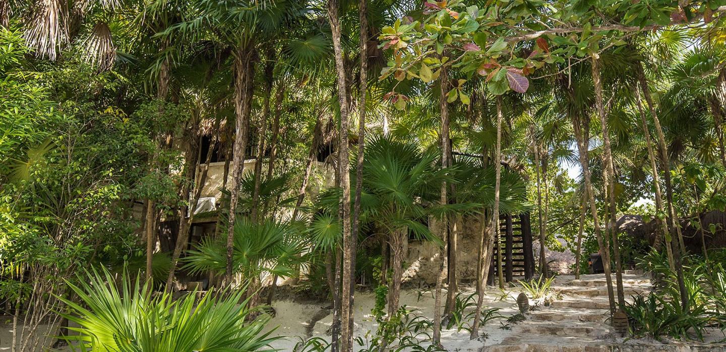 Tul018 - Fantastic beachfront villa with pool in Tulum