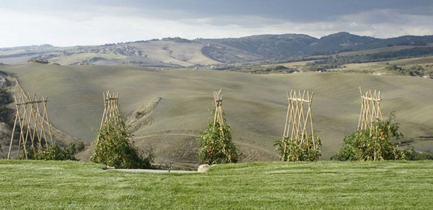 Tus002 - Magnificent country villa, Tuscany