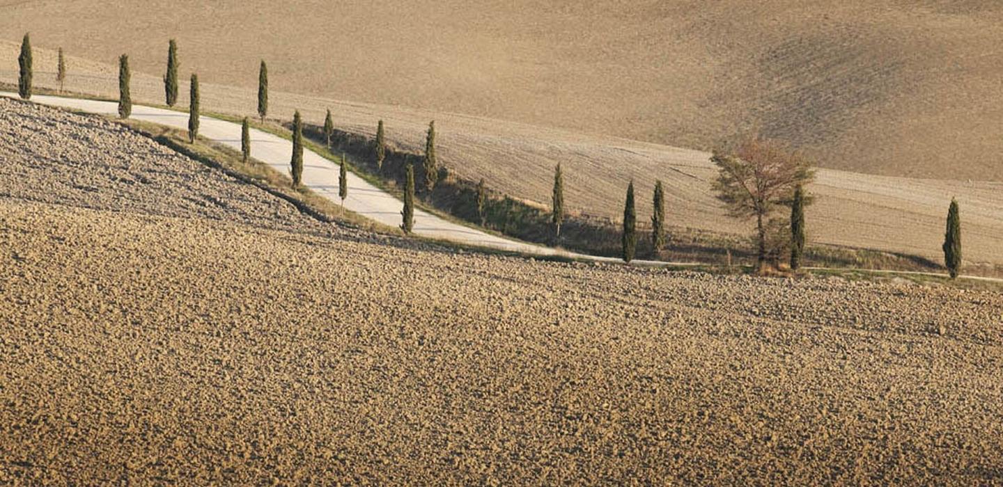 Tus002 - Magnificent country villa, Tuscany