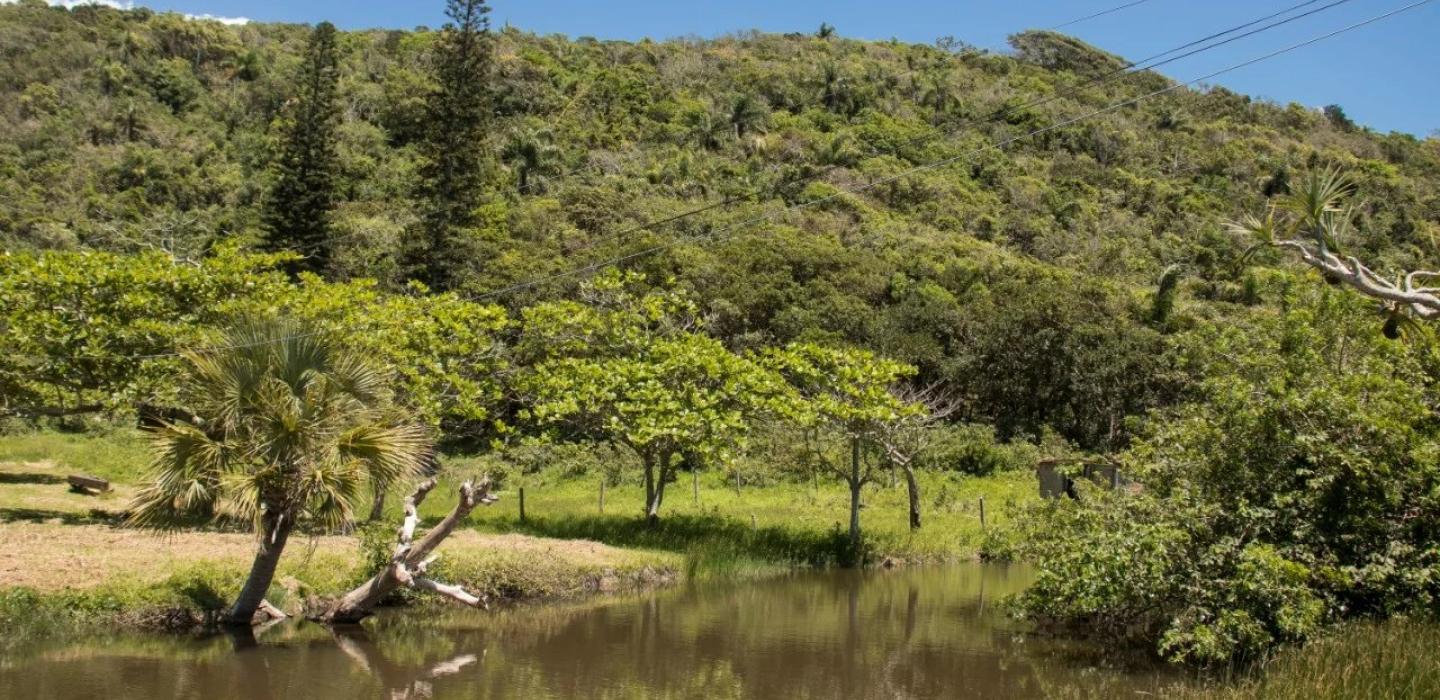 Flo200 - Terreno Praia Brava em Florianópolis