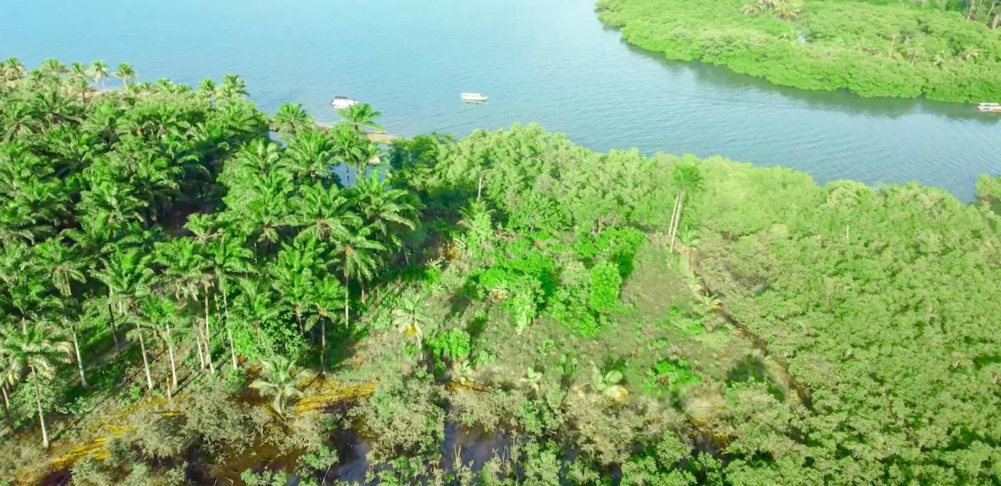 Bah330 - Bah330 - Île de Selvagem pour le développement hôtelier