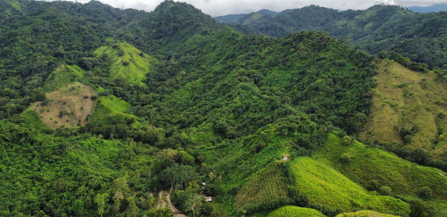 Sma018 - 34-hectare eco-development land in Guachaca