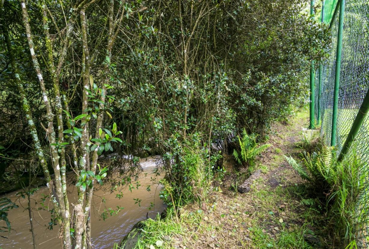 Bog016 - Villa spectactulaire à Choachi, Cundinamarca