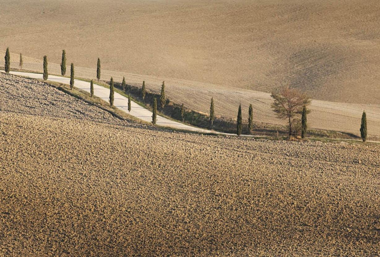 Tus002 - Magnífica villa de campo, Toscana