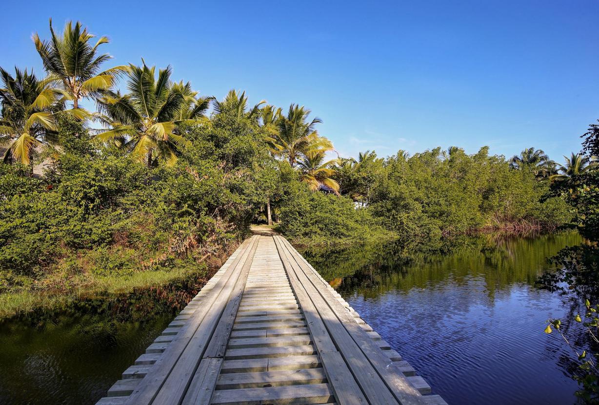 Bah008 - Beautiful luxury house by the sea in Trancoso