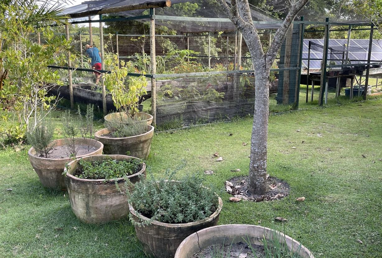 Bah087 -Villa ferme entre rivière et mer Trancoso