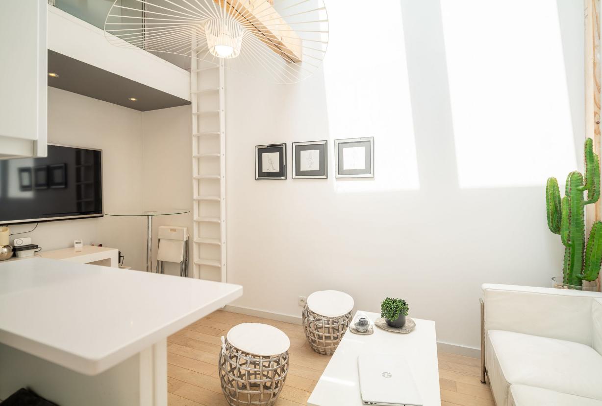 Par237 - Apartamento con terraza en Paris