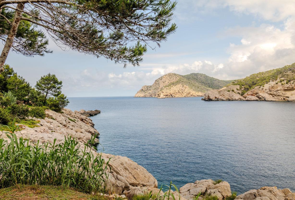 Ibi003 - Luxury island in Ibiza