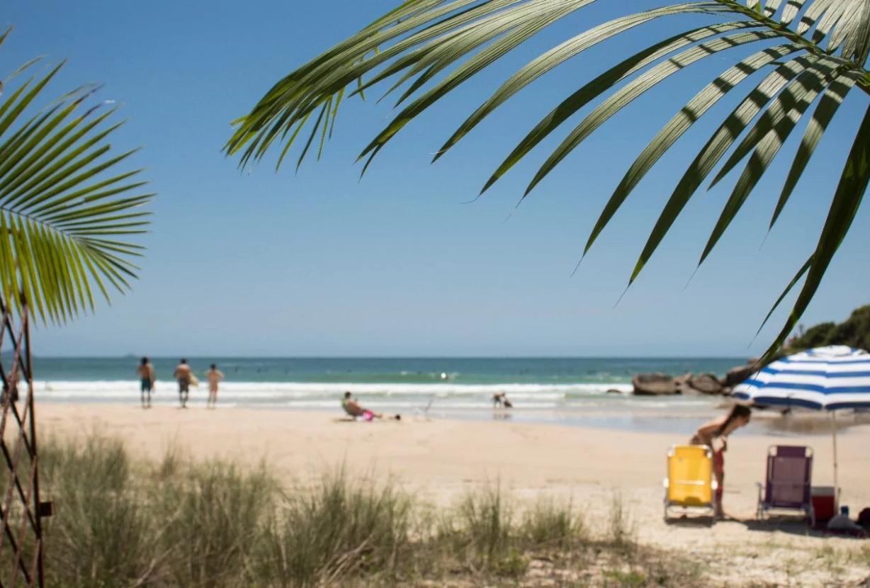 Flo200 - Terreno Praia Brava em Florianópolis