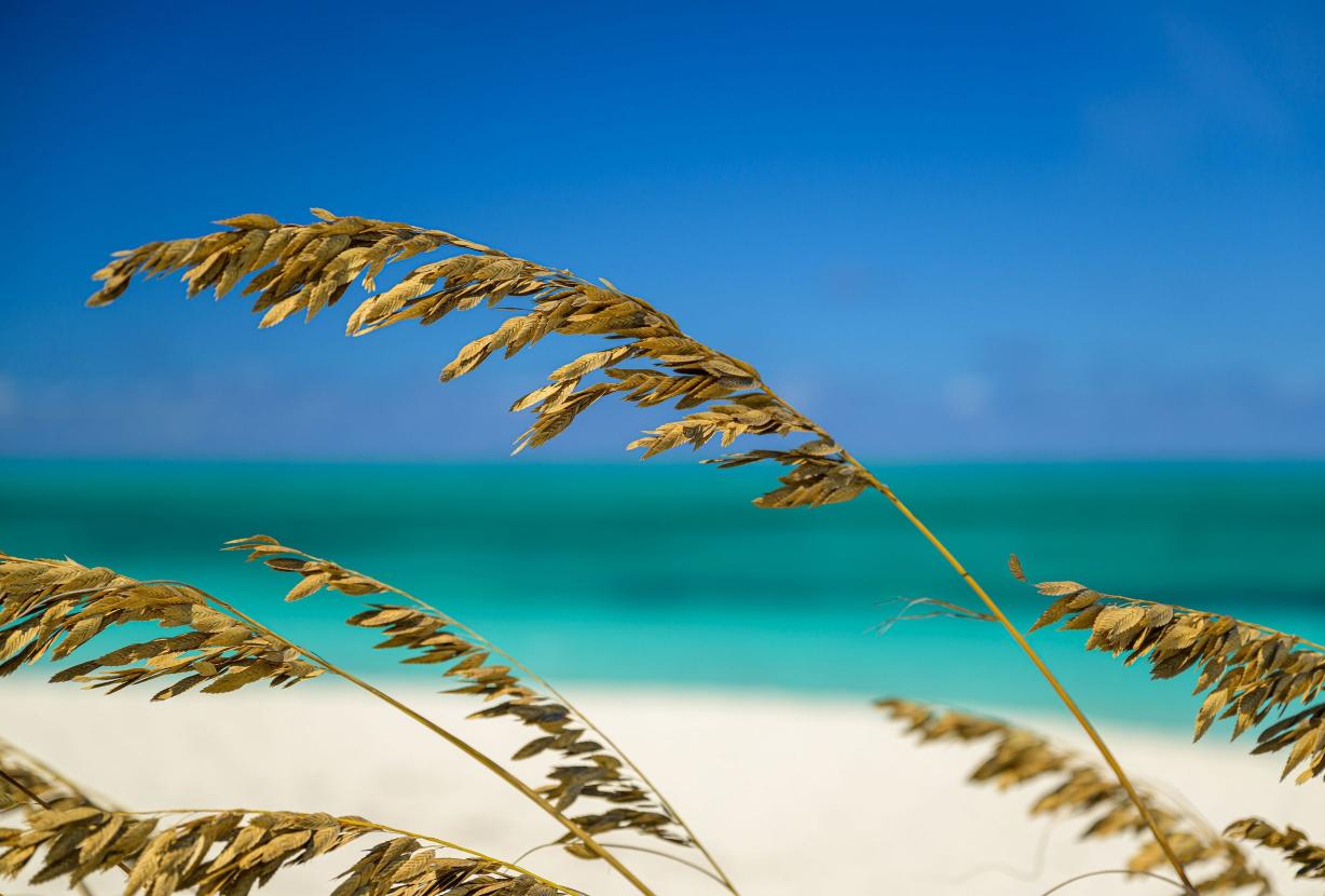Tci018 – Luxury beachfront villa in Grace Bay