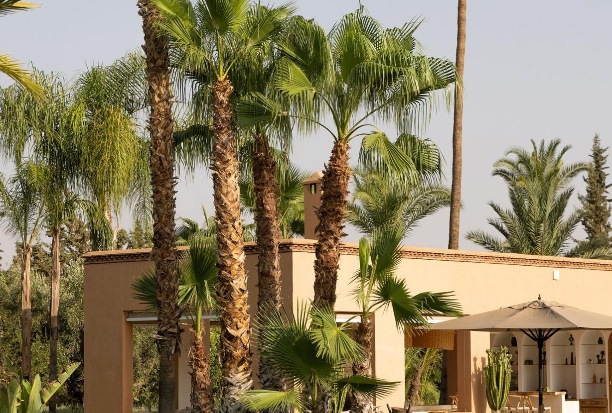 Mrk002 - Villa de charme à Marrakec