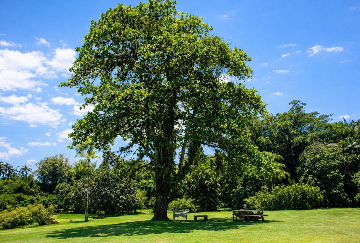 Ang054 - Santuario Privado en Porto Frade