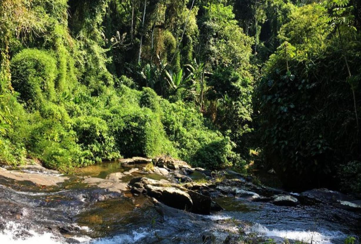 Pty012 - Endroit confortable à côté de la nature à Paraty