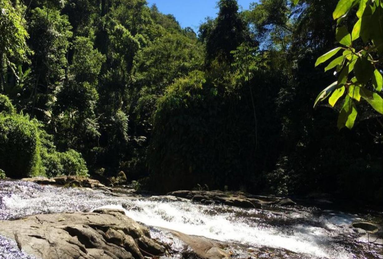 Pty012 -  Aconchegante sítio junto à natureza em Paraty