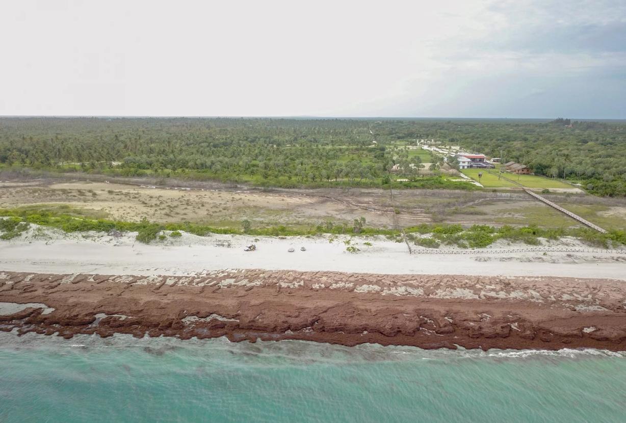 Pre001 - Dernier grand terrain front de mer plage de Preá