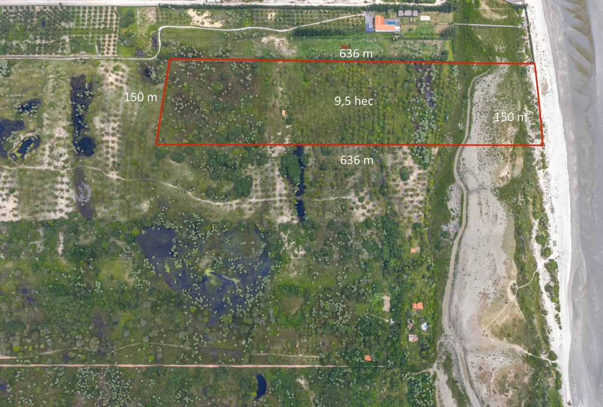 Pre001 - Last large plot of land facing the sea on Preá beach
