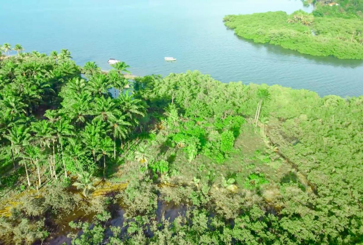Bah330 - Bah330 - Île de Selvagem pour le développement hôtelier