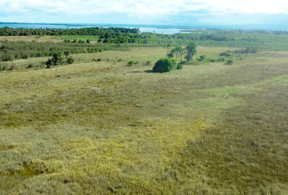 Bah330 - Bah330 - Île de Selvagem pour le développement hôtelier