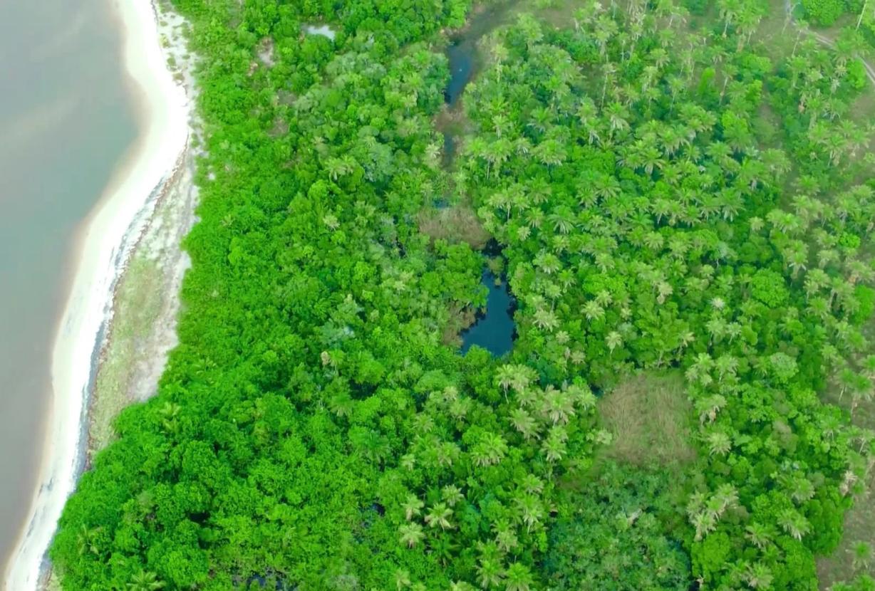 Bah330 - Wild Island for Hotel Development