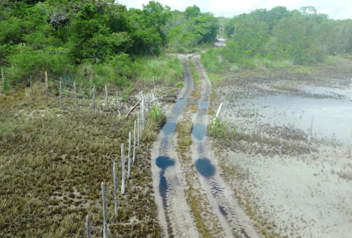 Bah330 - Bah330 - Île de Selvagem pour le développement hôtelier