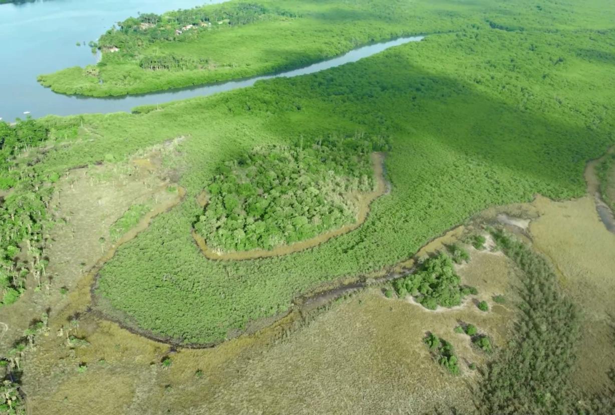Bah330 - Wild Island for Hotel Development