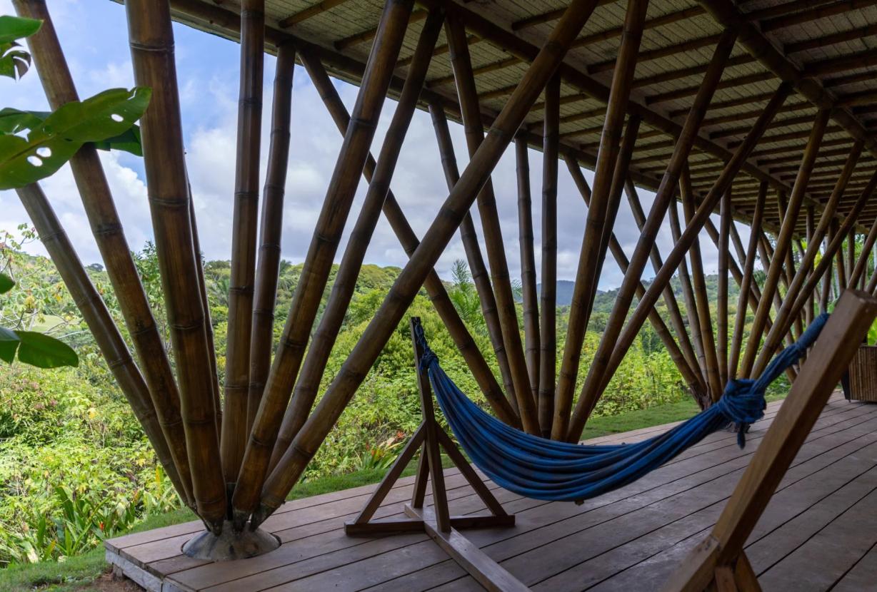 Bah323 – Fazenda em meio à Mata Atlântica em Serra Grande, Bahia