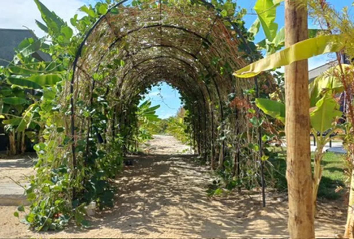 Ala006 - Miracle, house for sale in paradise