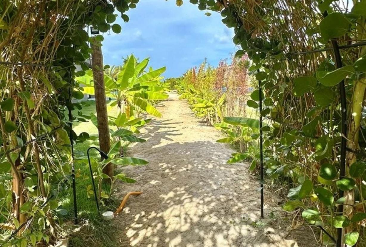 Ala006 - Miracle, house for sale in paradise