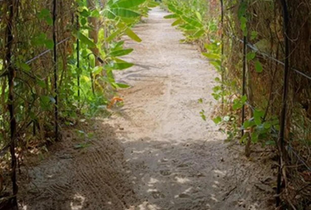 Ala006 - Milagre, casa a venda no paraíso