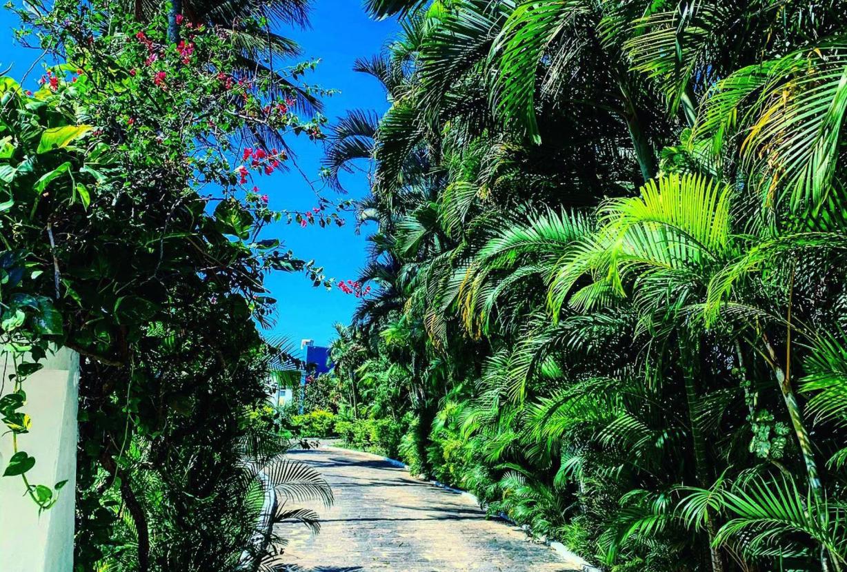 Ang104 - Demeure en Bord de Mer à Mangaratiba