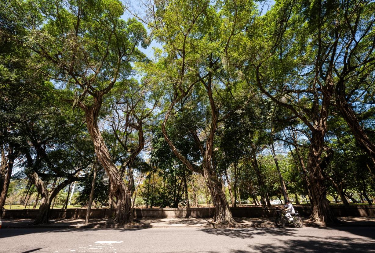 Rio444 - Family apartment with history - Avenida Ruy Barbosa, Flamengo