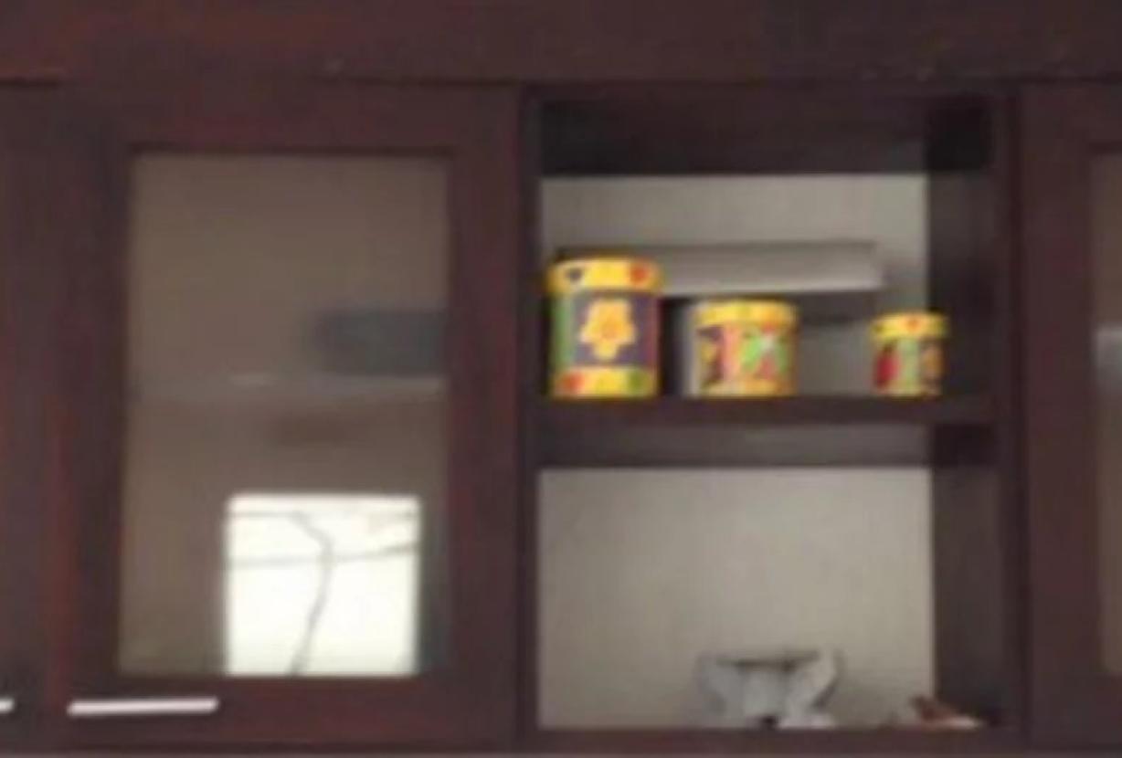 Rio335 - Great villa with amazing nature views in Joá