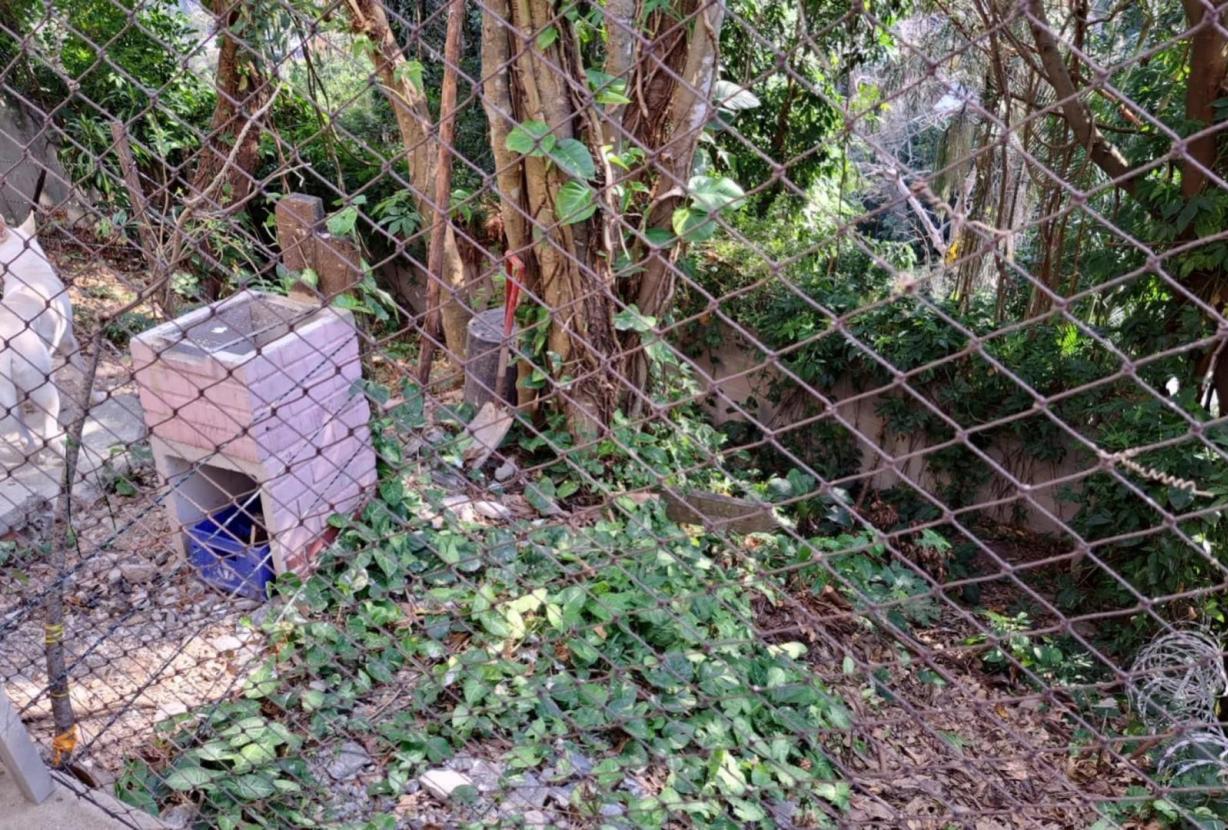 Rio335 - Great villa with amazing nature views in Joá