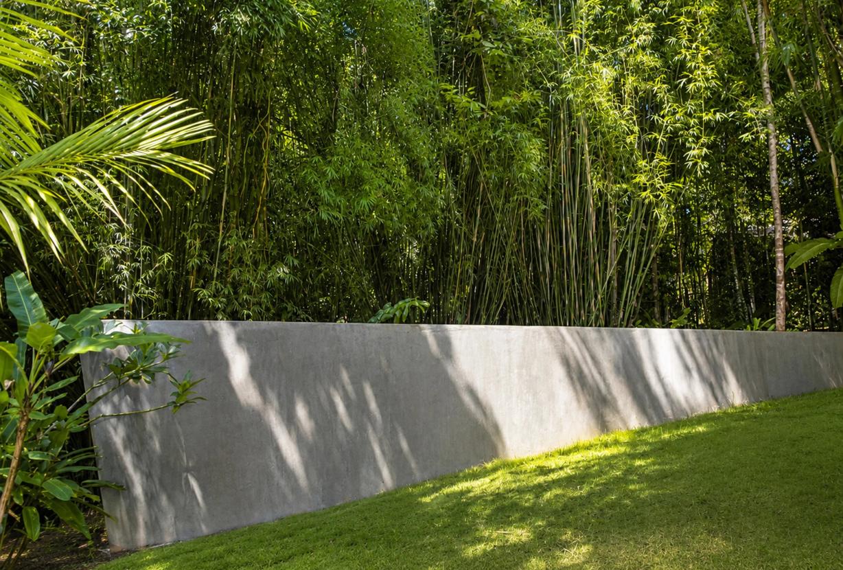 Bah197 - Architectural Masterpiece Hidden in the Atlantic Forest of Itacaré