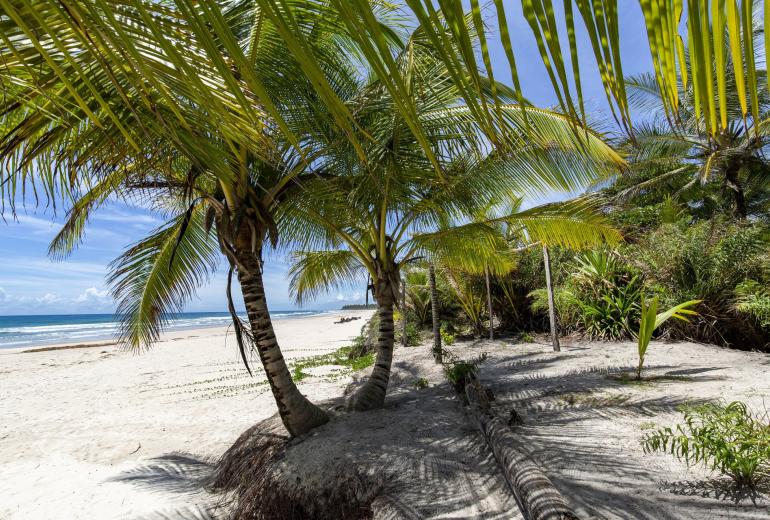 Bah701 - Beach house in Itacare