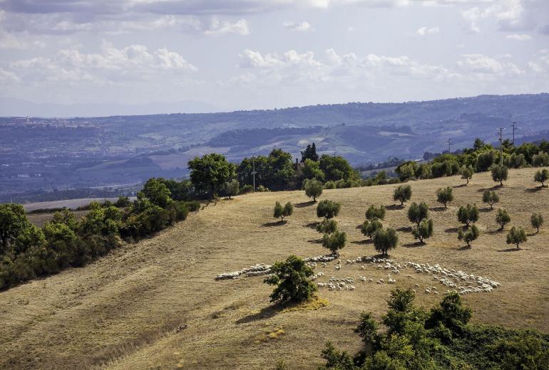 Umb008 - Esplêndida villa, propriedade agrícola da Úmbria