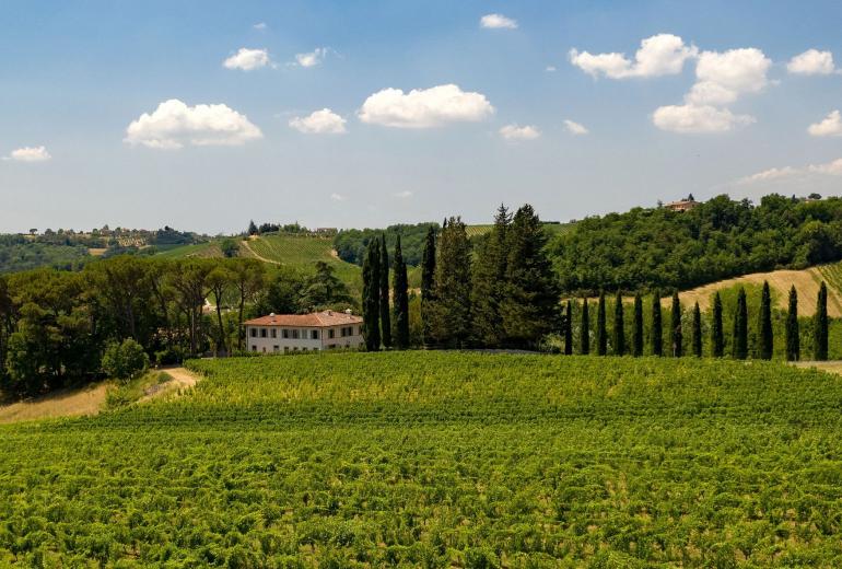 Tus019 - Elegant villa tucked away in the Chianti hills, Tuscany