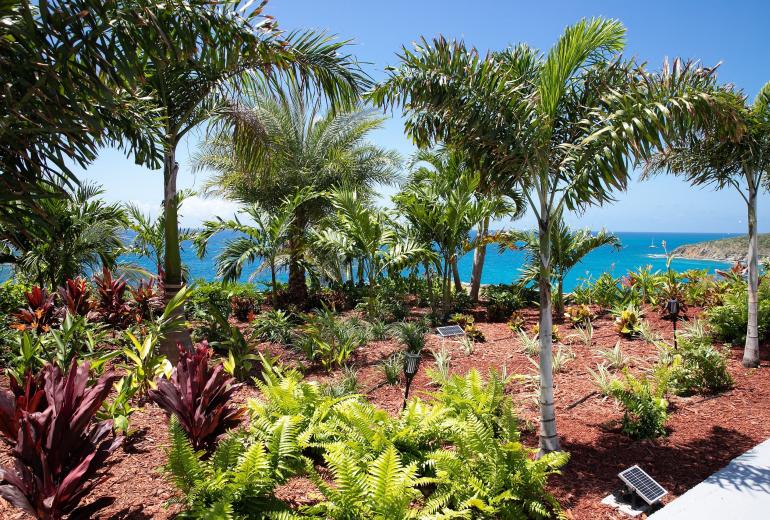 Sxm012 – Villa de luxe en bord de mer à Indigo Bay